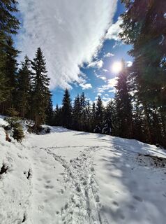 Photo de Katja Gonzi le long du parcours