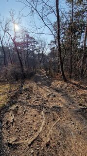 Fotografie z EP87 na trase