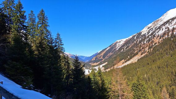 Foto de Regina Fleischmann a lo largo del recorrido