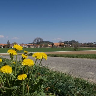Weg vor Allmid -  Rund ums Guggershorn