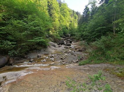 Foto fra luyyy underveis på turen