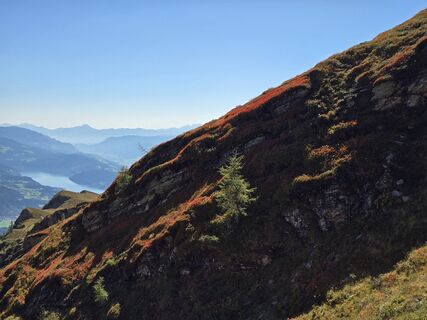 Foto von Monika Rohrer entlang der Tour