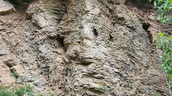 Geotop Steinbruch im Wellenkalk