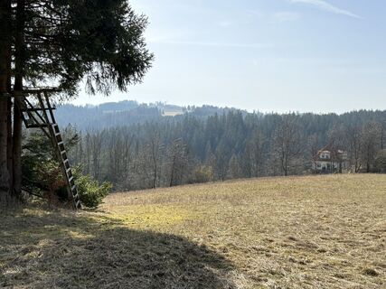 Zdjęcie z Norbert Herbig wzdłuż trasy