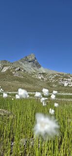 Photo de Priska Thomann-Bischofberger le long du parcours