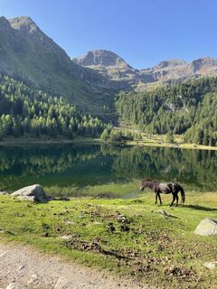 Fotografia z Gruber Irene na trase
