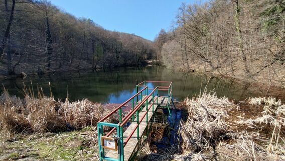 Foto de István Gábor 1 a lo largo del recorrido