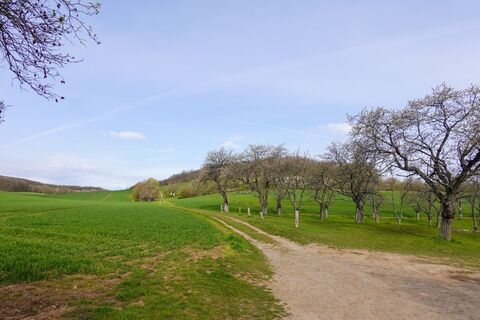 Weg zum NSG Münchenberg
