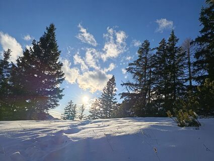 Fotografija s spletne strani chaos3333 na poti