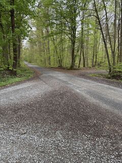 Foto von Thomas Muehling entlang der Tour