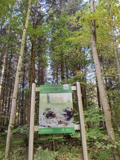 Station am Waldbadepfad Assamstadt
