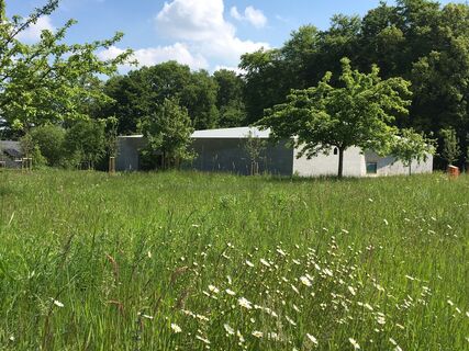 Obstwiese am Museum Peter August Böckstiegel