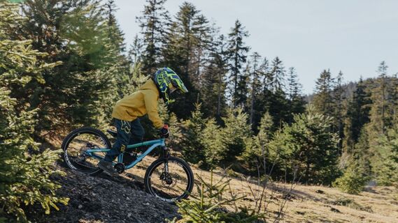 Bikepark Katzenkopf - Grüner Trail