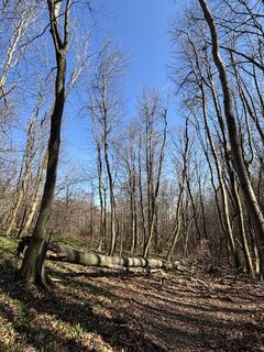 Foto de RS76 a lo largo del recorrido