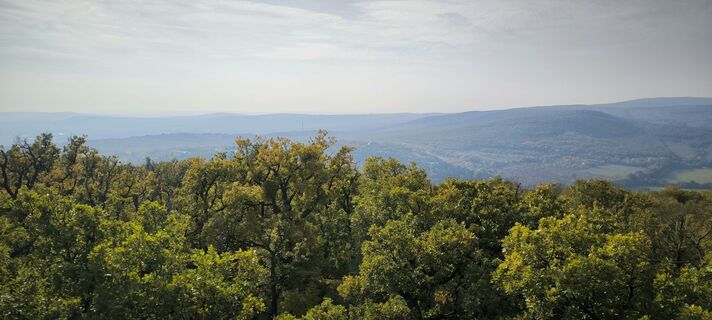 Foto von Mara entlang der Tour