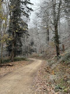 Fotografia z InesW na trase