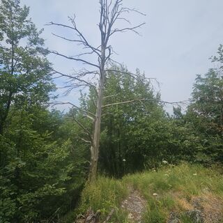 Foto von Huanita Grosman entlang der Tour