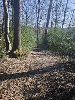 Foto von Björn Heun entlang der Tour