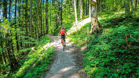 Weg zur Ewigen Wand von der Rathluckenhütte