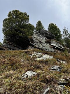 Foto von Schabsi entlang der Tour