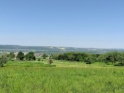 Fotografija s spletne strani O Nuber na poti