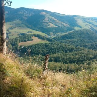Photo de Lisa Pimminger 1 le long du parcours