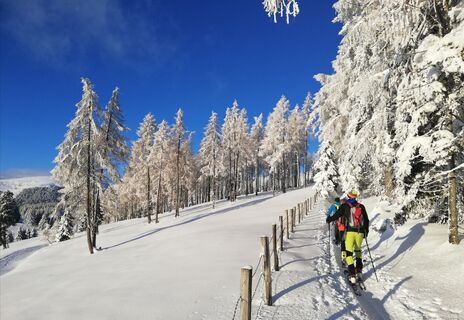 Saualpe Winter - Skitour Weg ÖAV Nr. 334