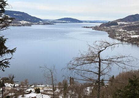 Zdjęcie z Natur_erleben_dg wzdłuż trasy