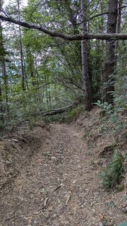Photo de Michael Strunz 1 le long du parcours
