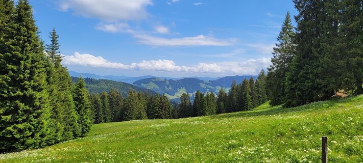 Foto von Ciao Klopfer entlang der Tour