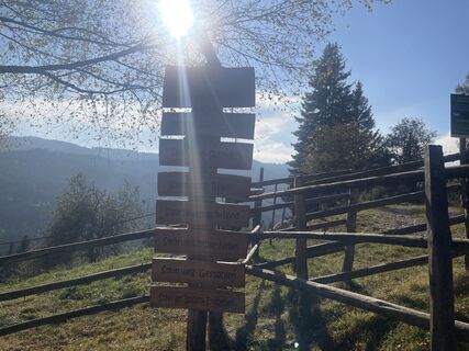 Foto von firebird 93 entlang der Tour