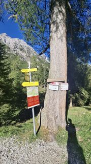 Foto von Tina T entlang der Tour