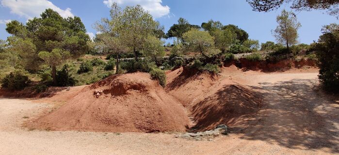 Fotografija s spletne strani Hein Sleddens na poti