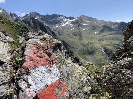 Foto von Koen De Wit entlang der Tour