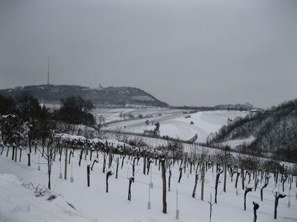 Grinzing-Hermannskogel-Neustift am Walde