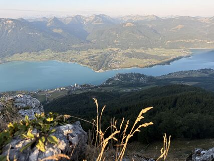 Foto von Natur_erleben_dg entlang der Tour