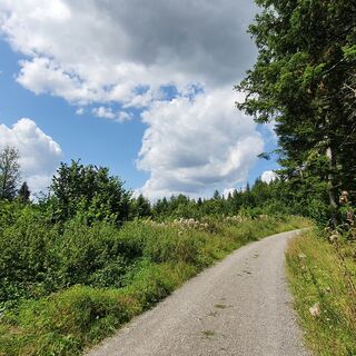 Biotopverbund-Runde Holzbronn - Weg Gültlingen-Holzbronn