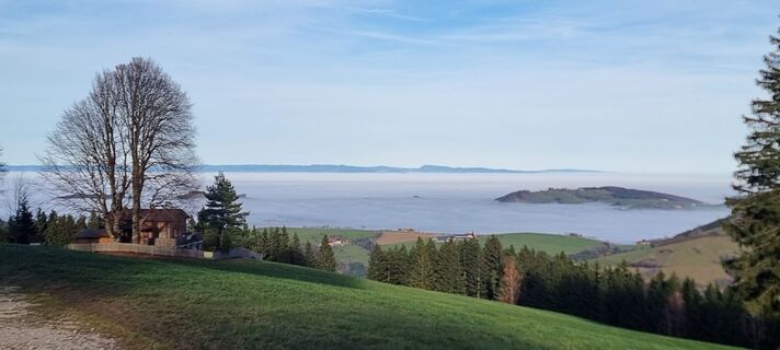 Photo from Manuela Huemer Frisco along the tour