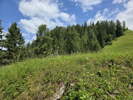 Photo de Anita White le long du parcours