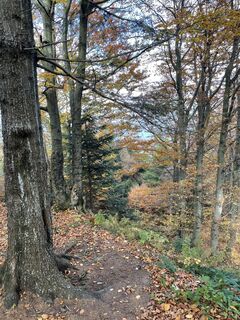 Foto von Ryszard Wichary 1 entlang der Tour
