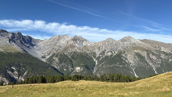Photo de Marisa scafetta le long du parcours