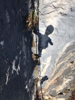 Foto von Heikoala entlang der Tour