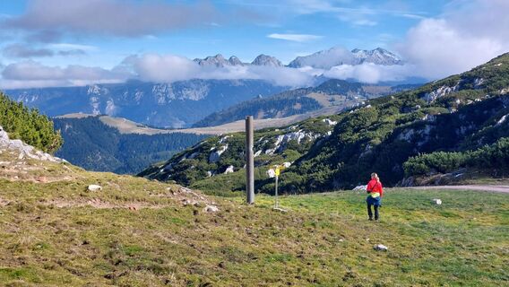Photo de Thomas Berensmann le long du parcours