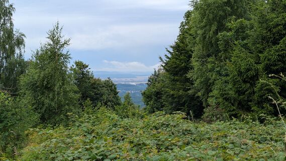 Photo de Chris gST le long du parcours