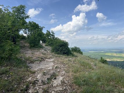 Fotografija s spletne strani Levente Németh na poti