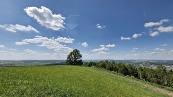 Fotografija s spletne strani Sebastian na poti