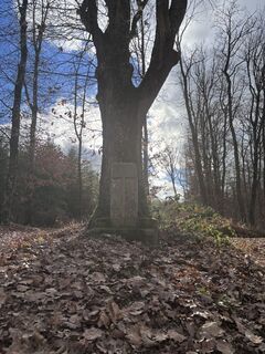 sa2 croix de pierre