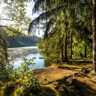 Blick auf den Hohenwarte Stausee am Morgen