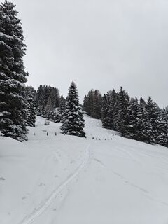 Foto von Florian Offergelt entlang der Tour
