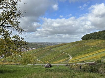 Photo de S Michel584 le long du parcours